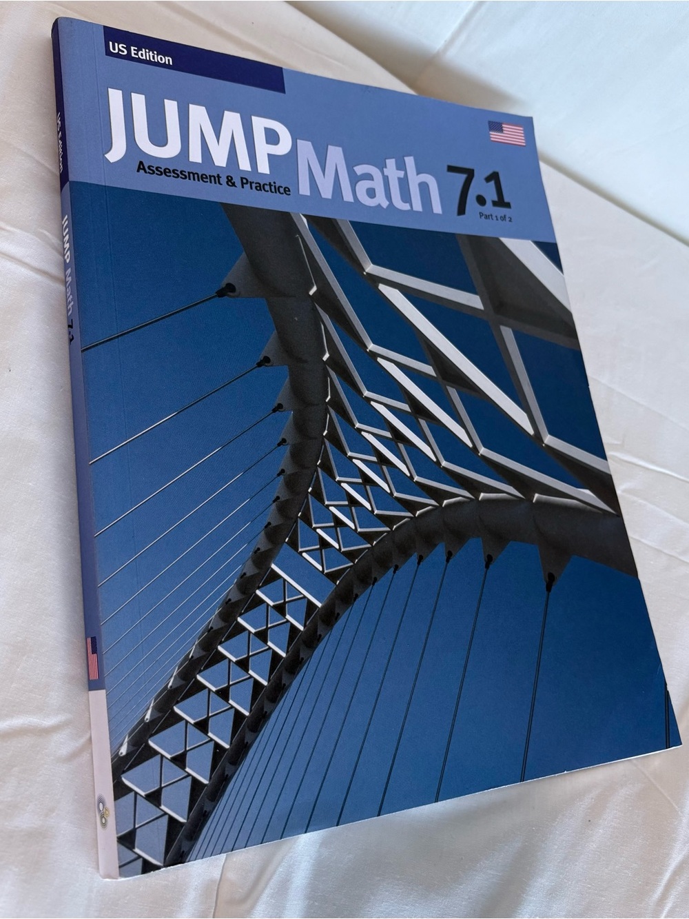 Jump Math 7.1 Assessment and Practice.